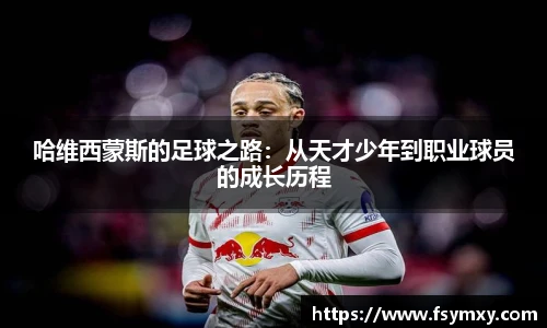 博鱼.体育官网